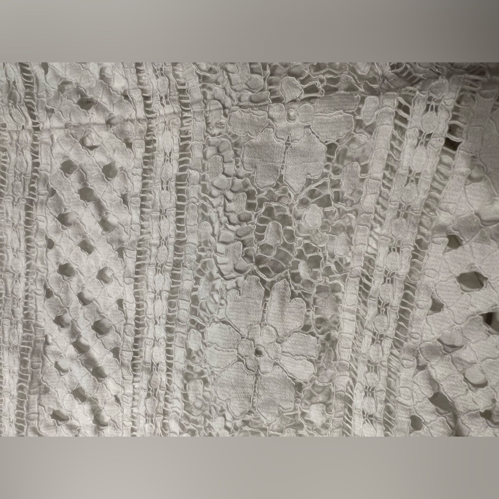 Cupcakes and Cashmere| High waisted white eyelet shorts. Lined. Size 2. - Picture 2 of 8